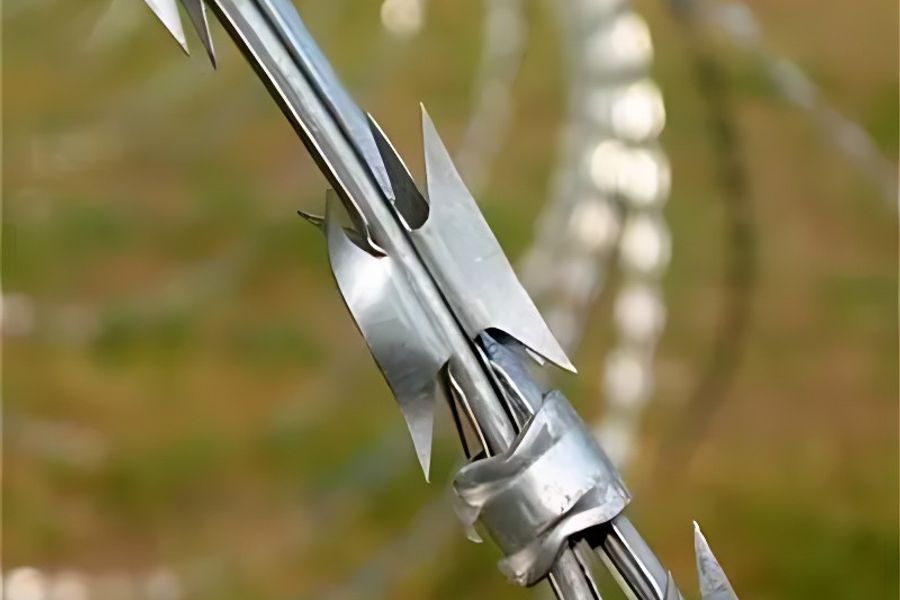 رسالة عبر الإنترنت