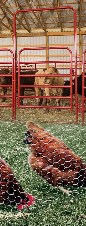 Farm & Breeding Fence Series