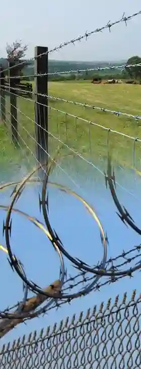 Safety protection  metal mesh + More