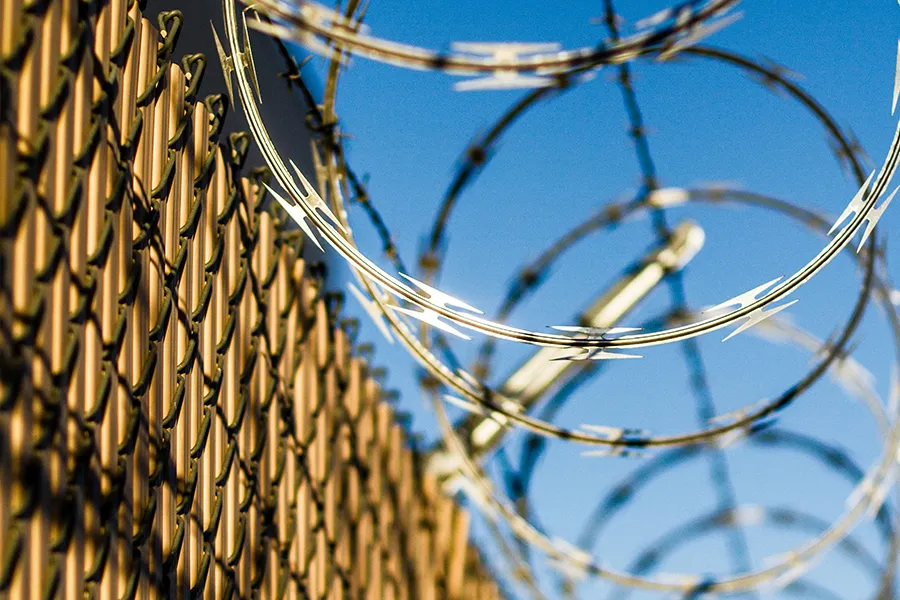 Unveiling the Ubiquitous Appeal of Chain Link Fencing