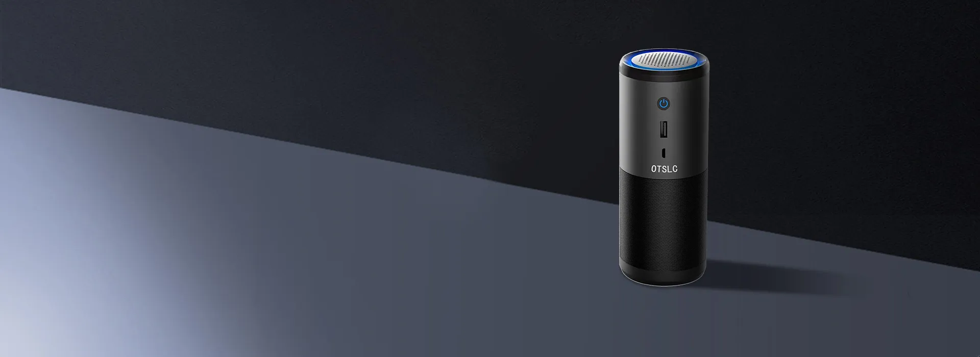 Portable car purifier