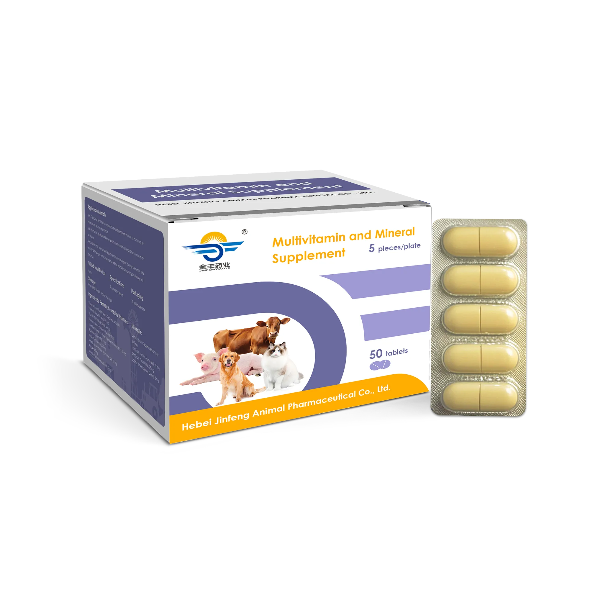Multivitamin and Mineral Supplement