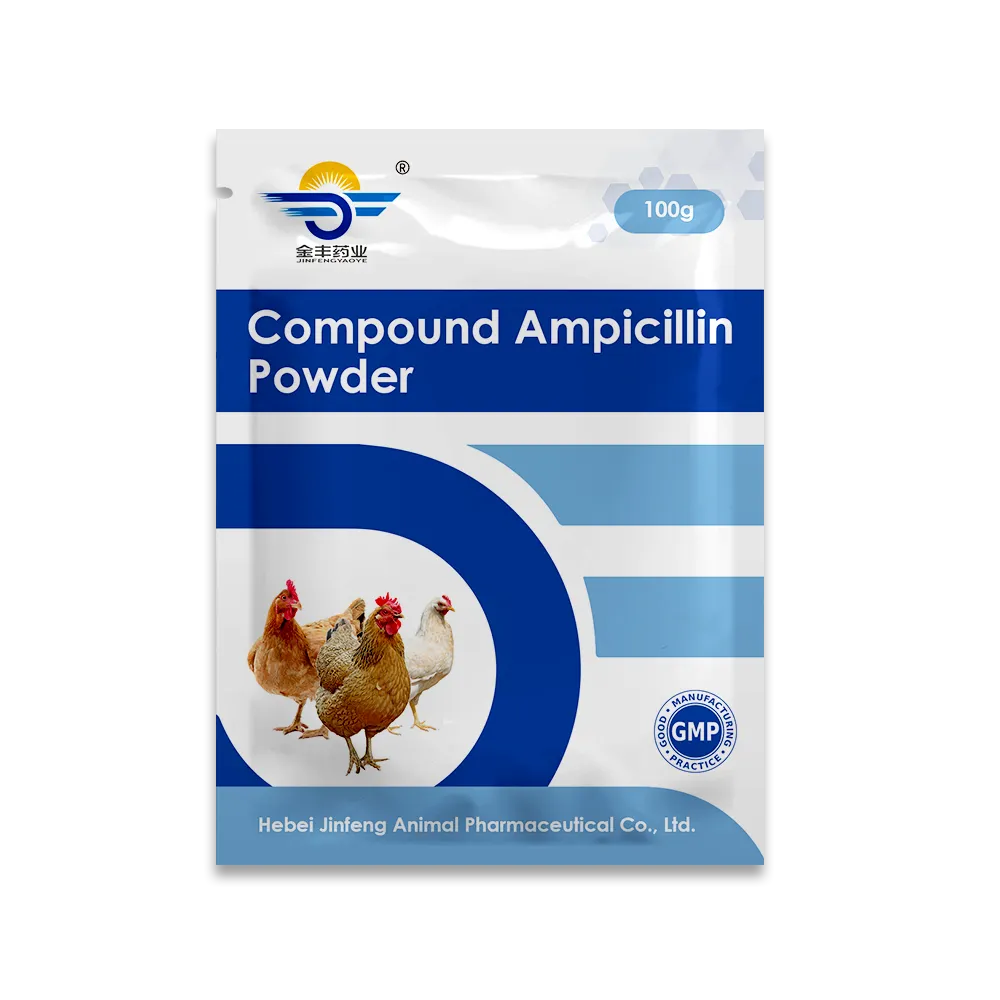 Amoxicilline en Poudre