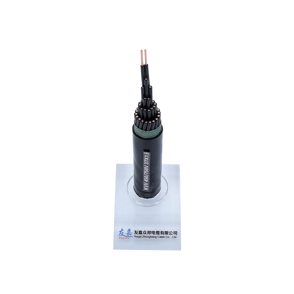 Cable de control1