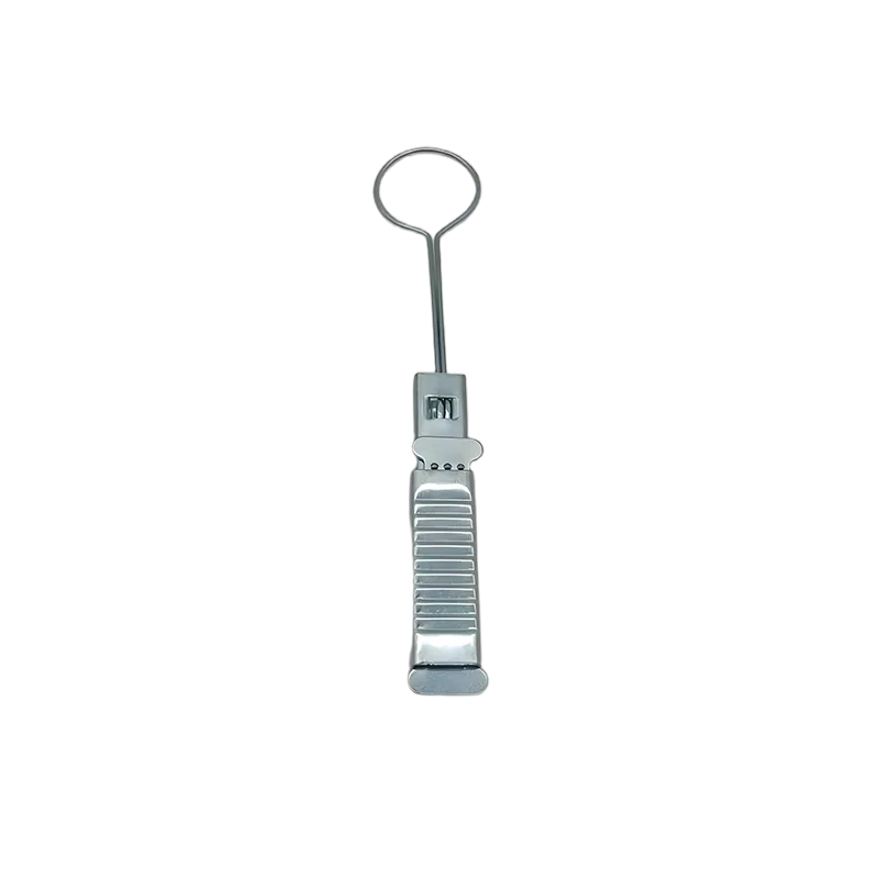 Small iron wire stainless steel clip