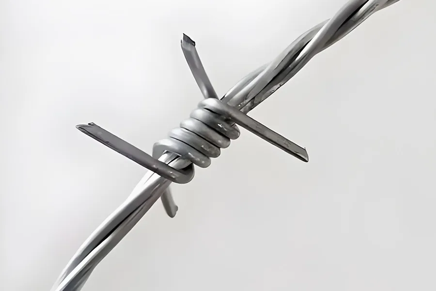 Ordinary barbed wire1