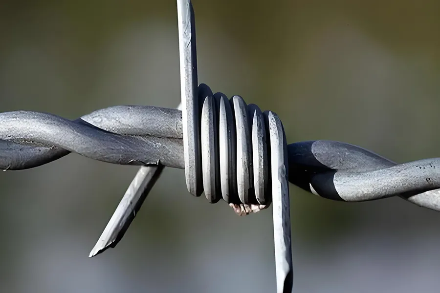 Ordinary barbed wire