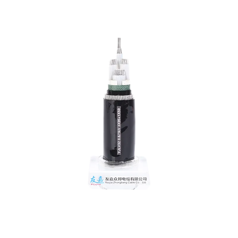 Cable de alimentación de bajo voltaje5