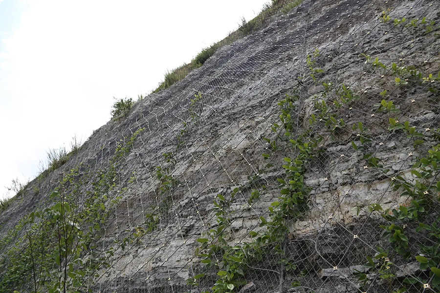 Red de protección activa2