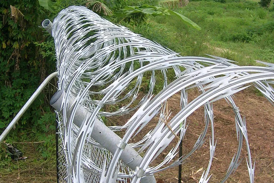 valla de alambre de púas2