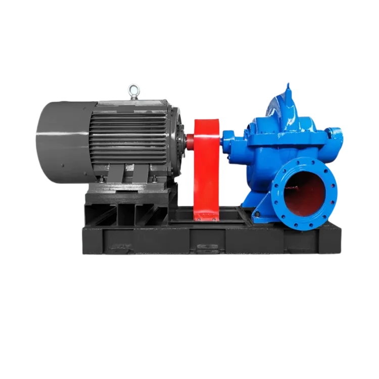 Double suction pump2