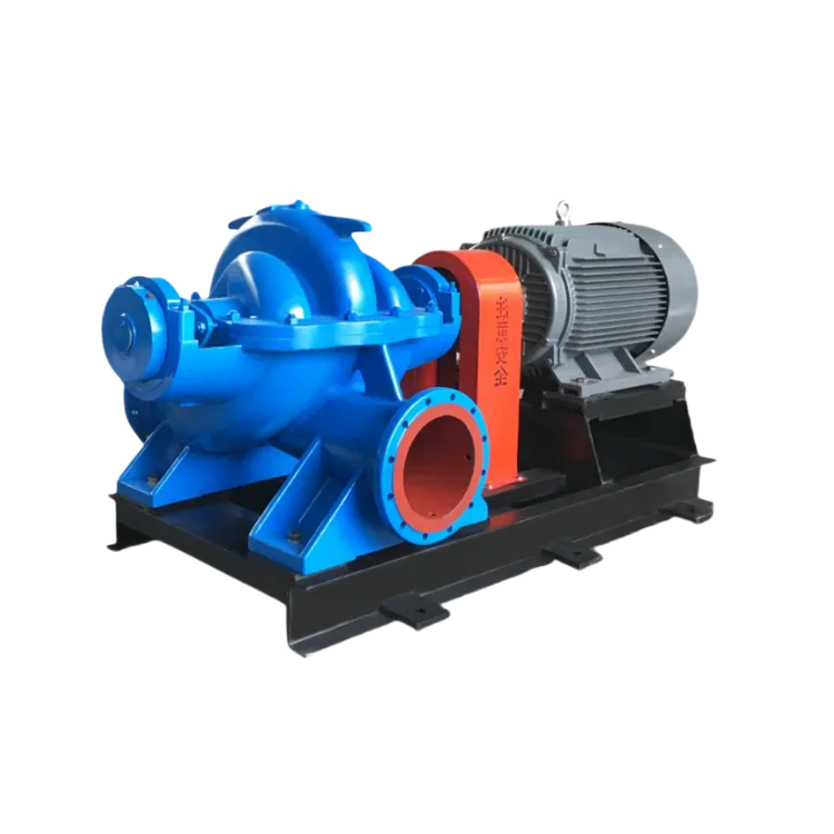 Double suction pump3