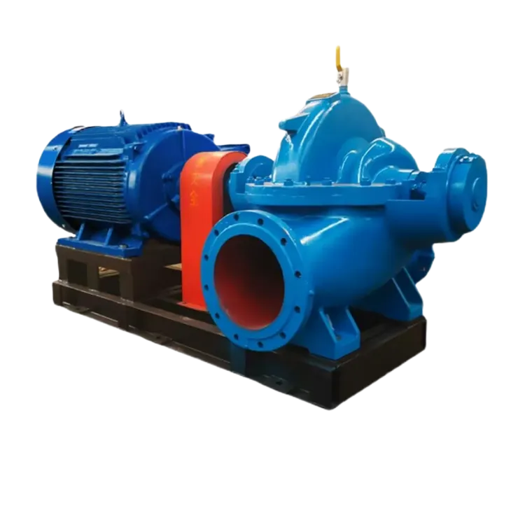 Double suction pump1