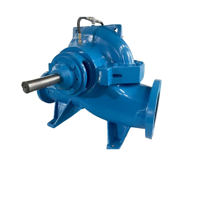 Double suction pump7