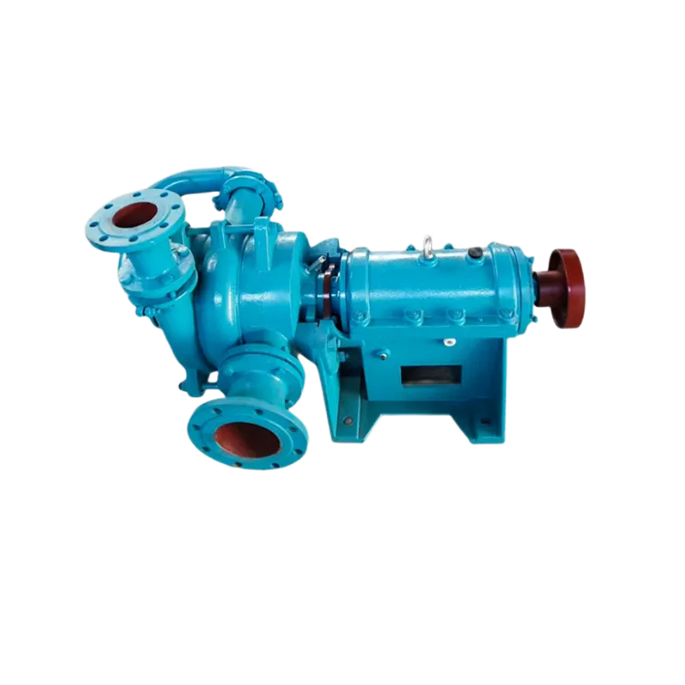 filter press feed pump5