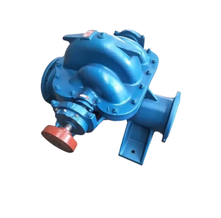 Double suction pump5