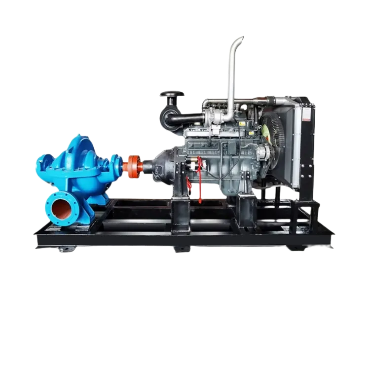 Double suction pump4