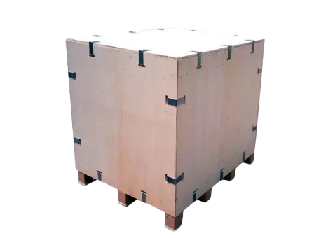 Caja de hebilla