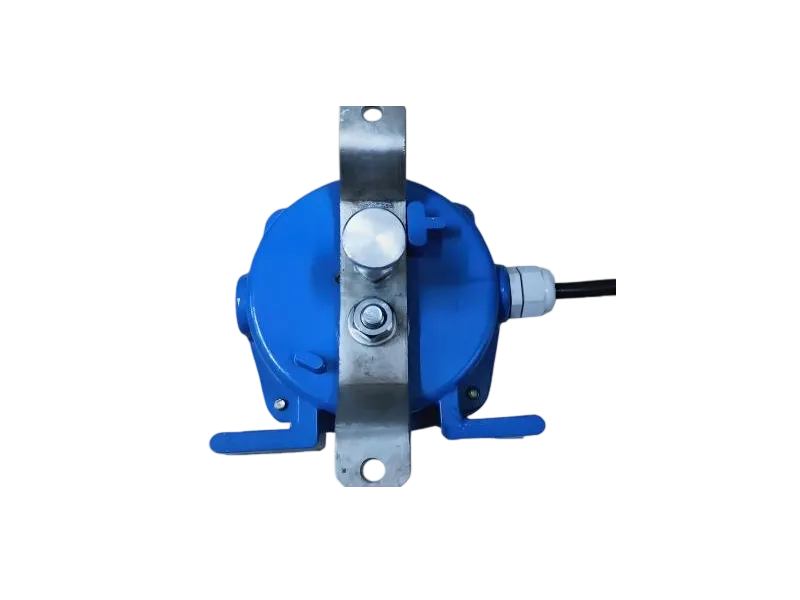 Two-way pull cord switch