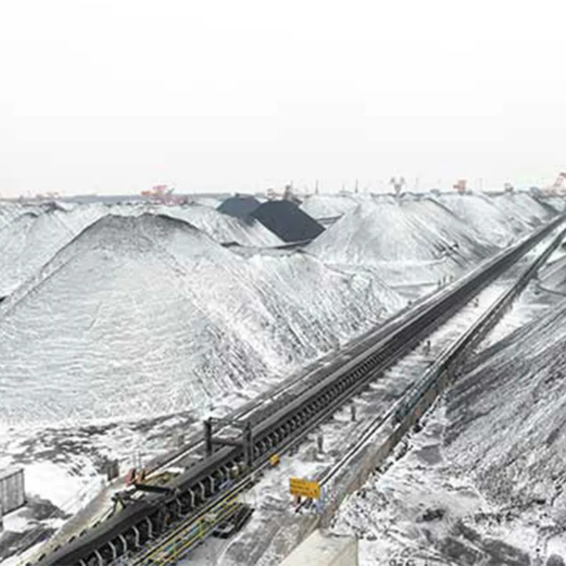 Steel cord cold-resistant conveyor belt