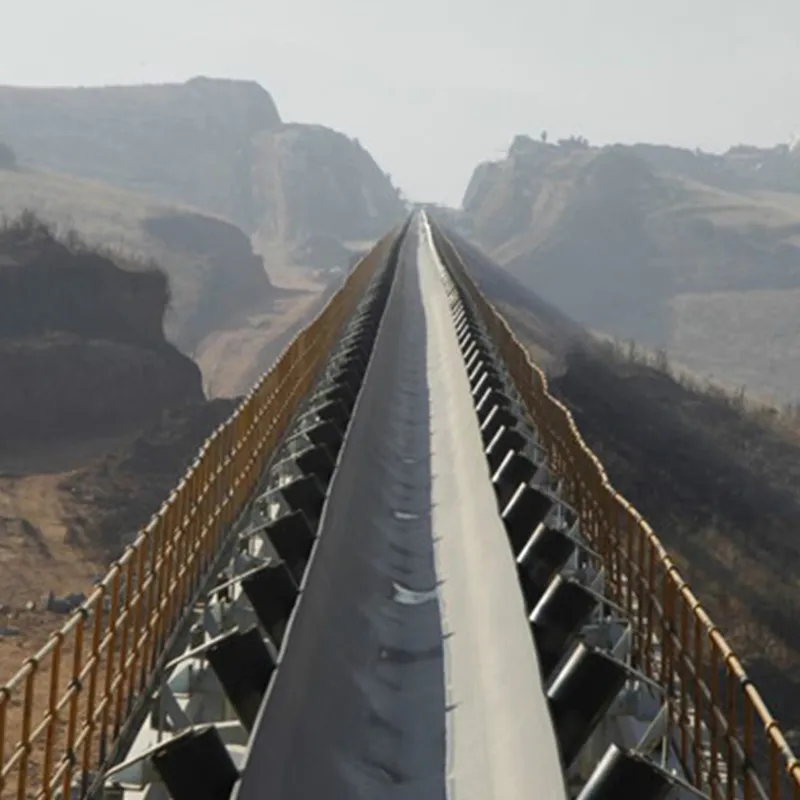 Tear-resistant steel wire rope conveyor belt