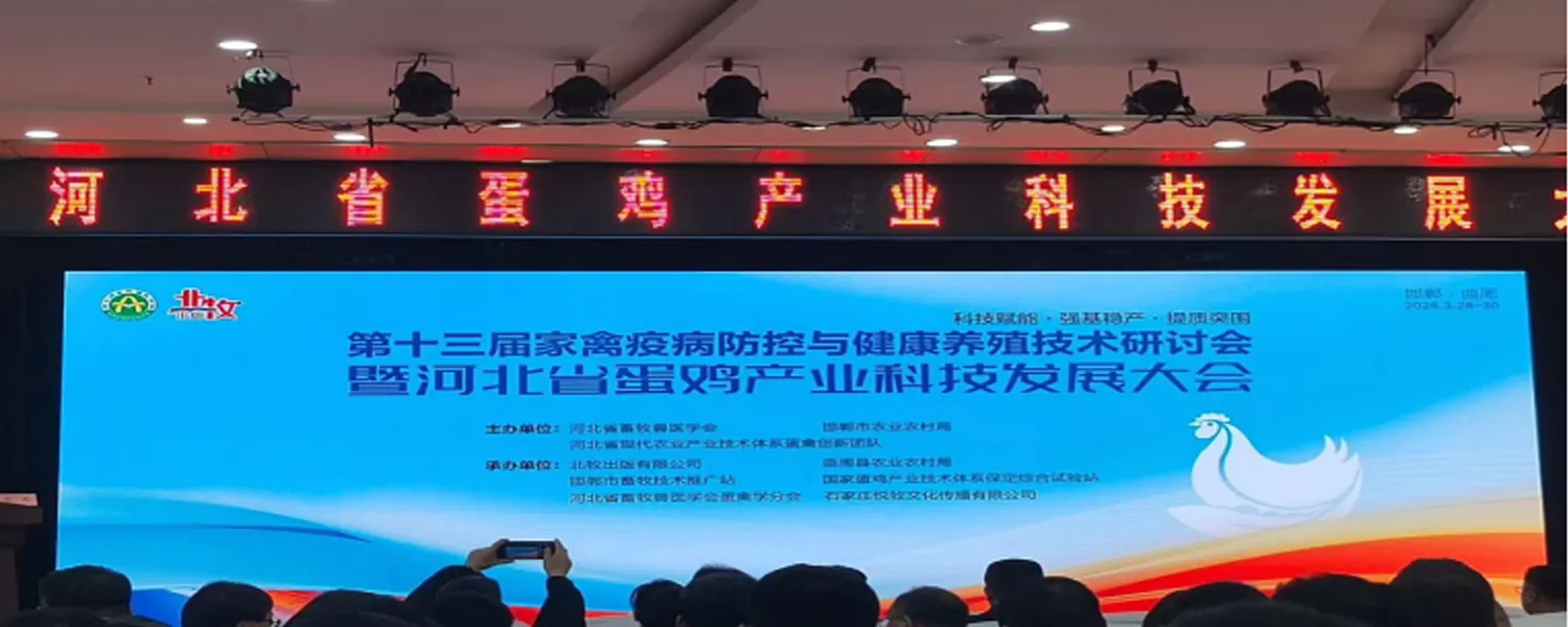 Conférence sur le développement technologique de l'industrie des couches de la province du Hebei