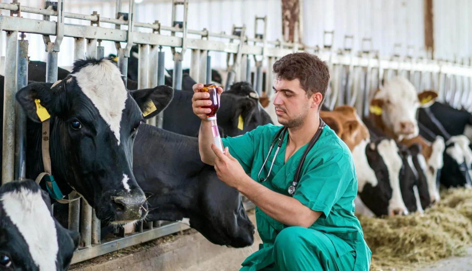 From Local Expertise to Global Trust: Building a New Benchmark in Animal Health Solutions