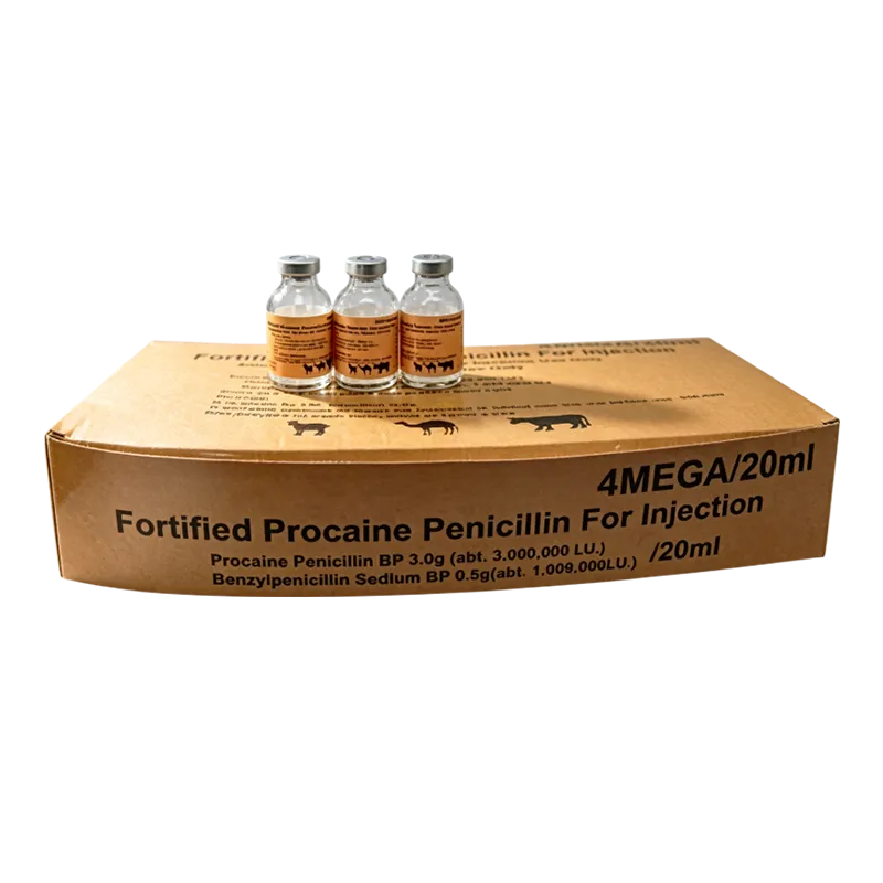 FORTIFIED PROCAINE PENICILLINFOR INJECTION 4MEGA
