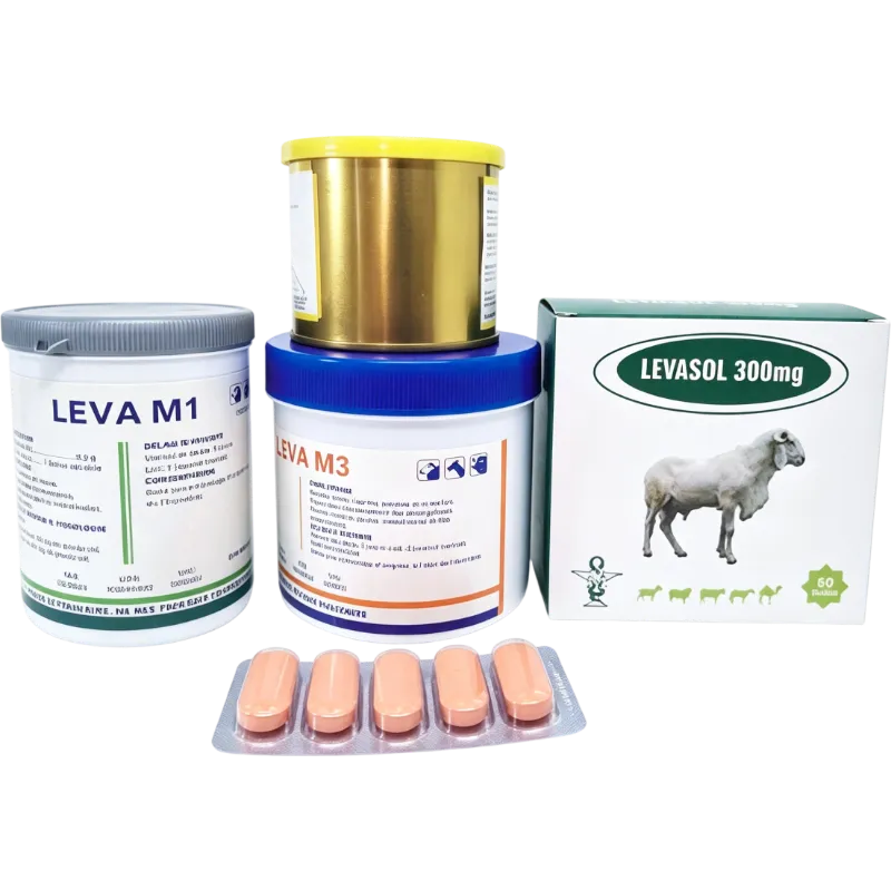 LEVA BOLUS