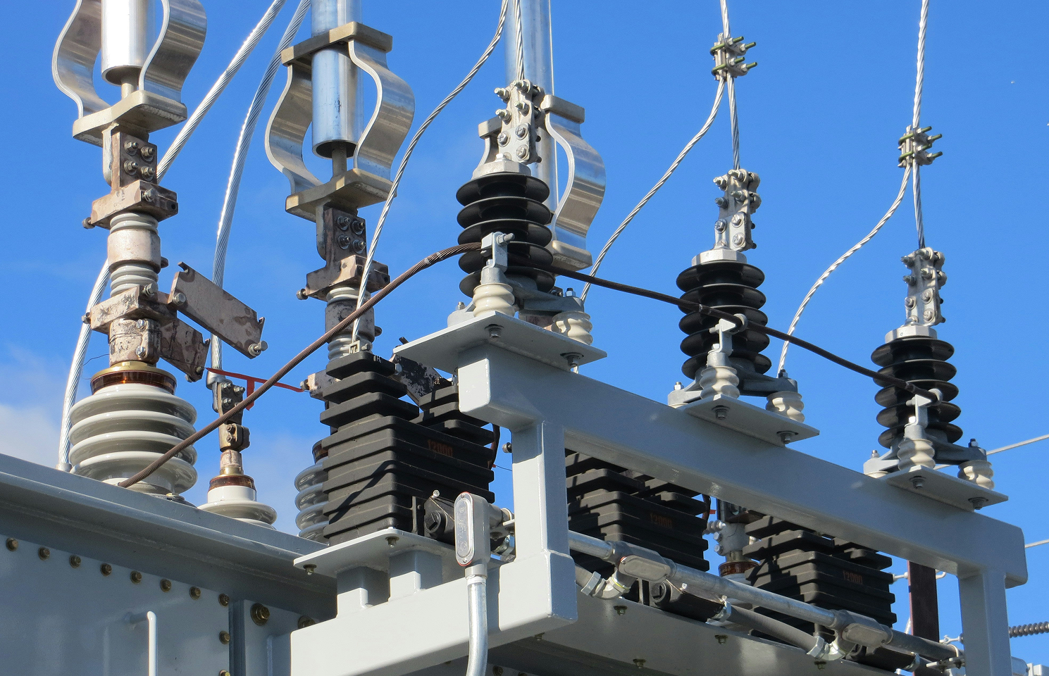 Hebei Qishun Electric Power actively expands into international markets, driving the global development of its brand.