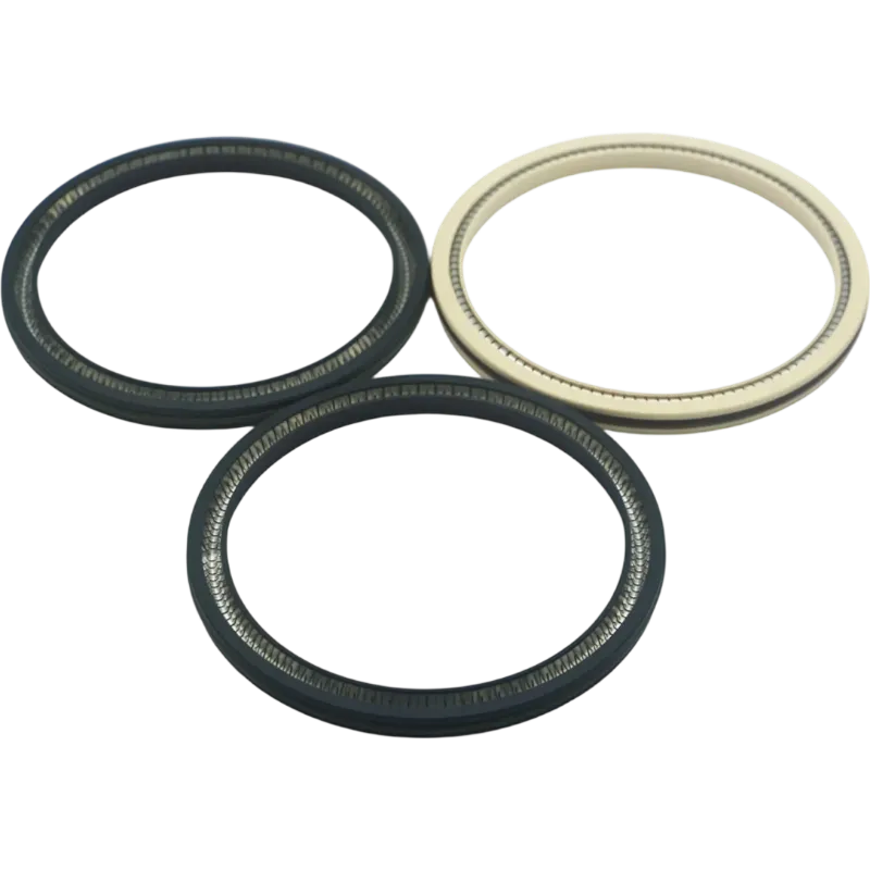 Spring-energized seal