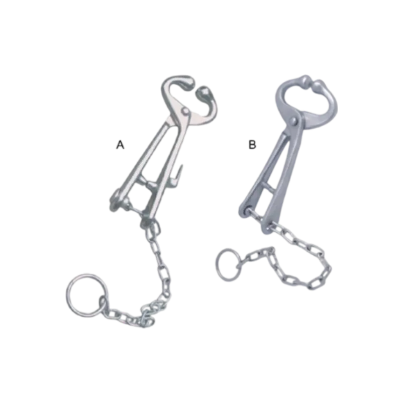 Bull Holder With Chain