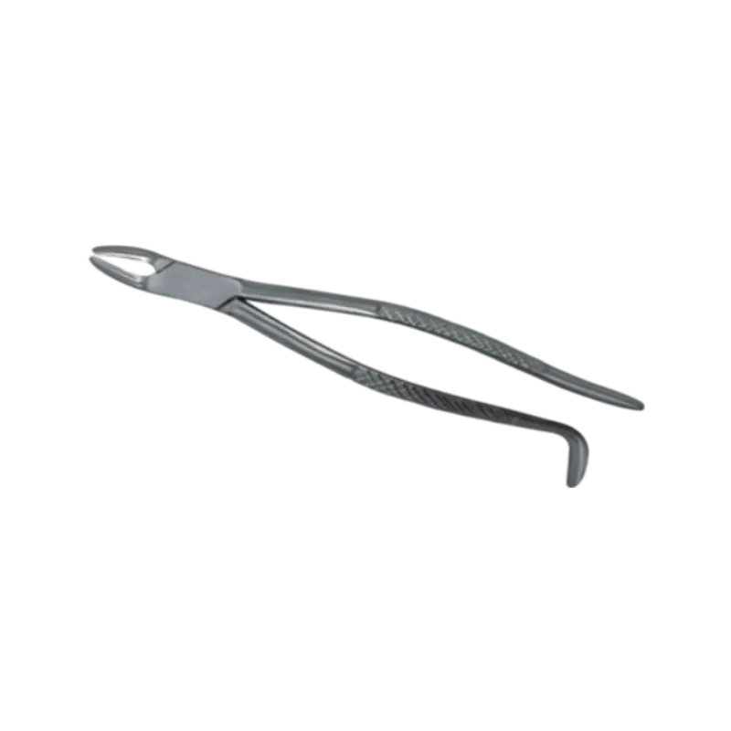 Dental Clips for Horses