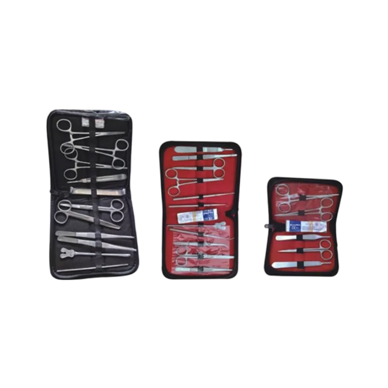 Veterinary Instruments Bag